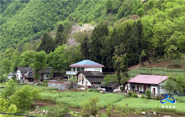 略阳县观音寺镇:全力做好脱贫攻坚"三排查 三清零"工作