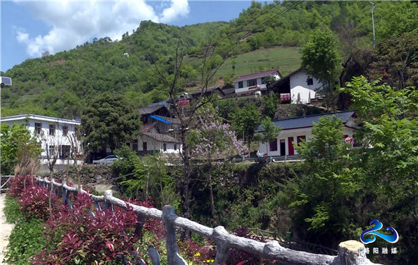 略阳县乐素河镇瓦房村驻村工作队长 刘鹏