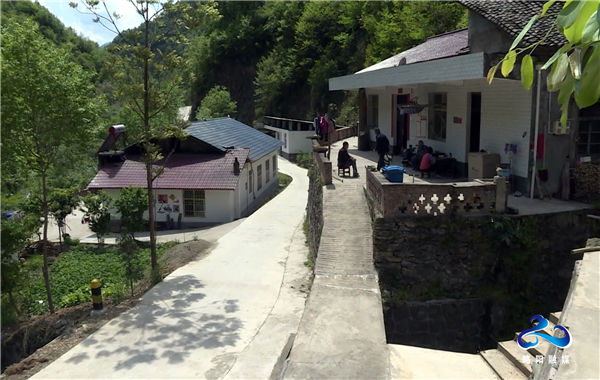 略阳县乐素河镇瓦房村村民 李彩琴