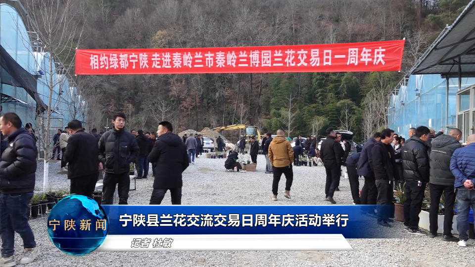 宁陕新闻网