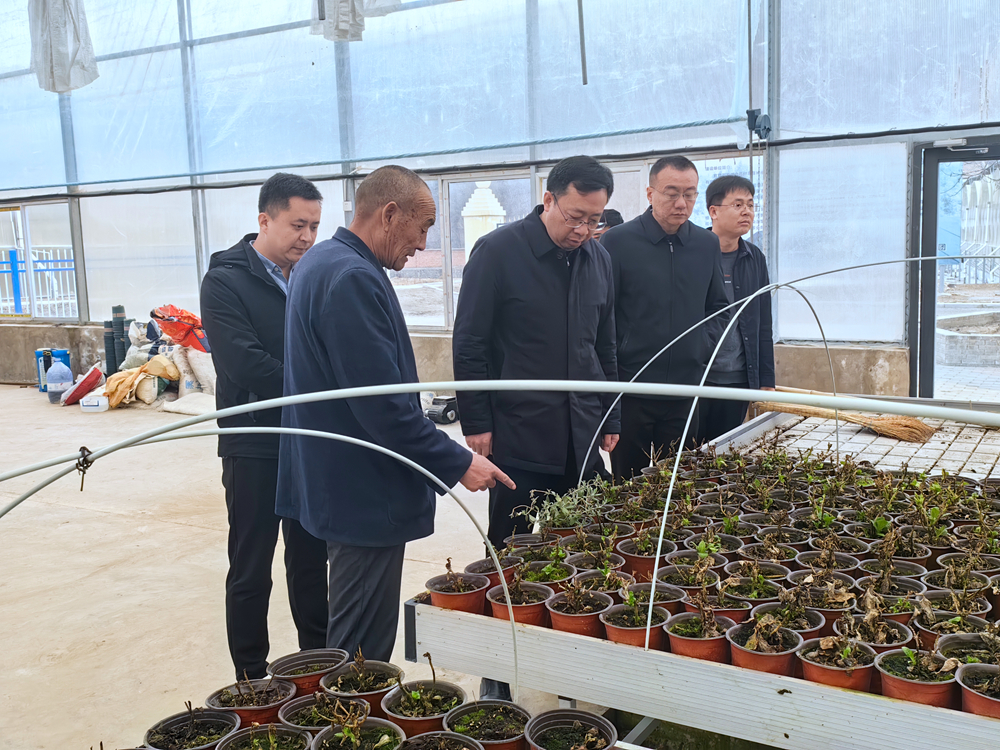 当前位置:>新闻中心>/宜君资讯>3月13日,县委副书记王斌,县政府副县长