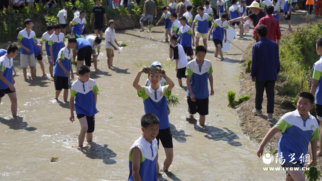 学生摸鱼