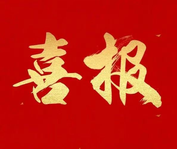【喜报】印台区陈炉镇双碑村荣获“全国文明村镇”称号