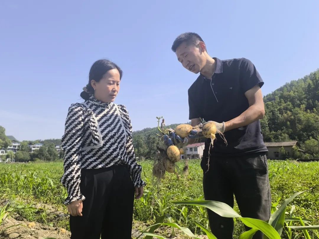 微信图片_20250614114510.jpg