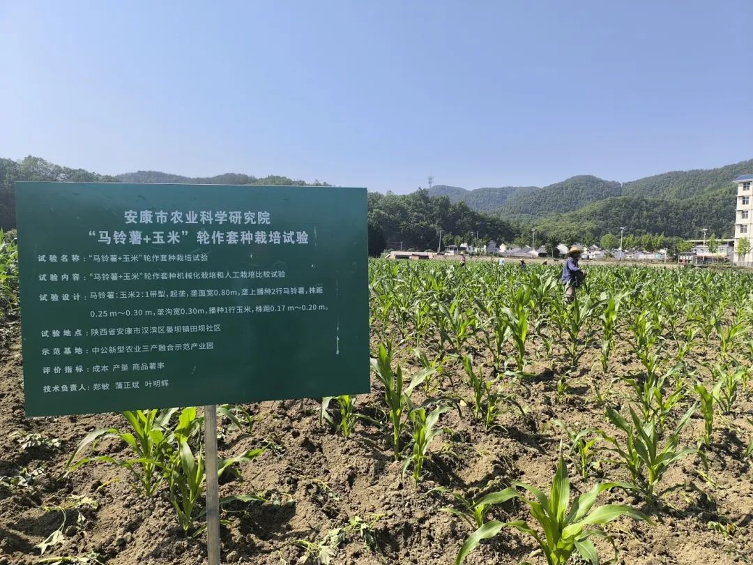 微信图片_20250614114517.jpg