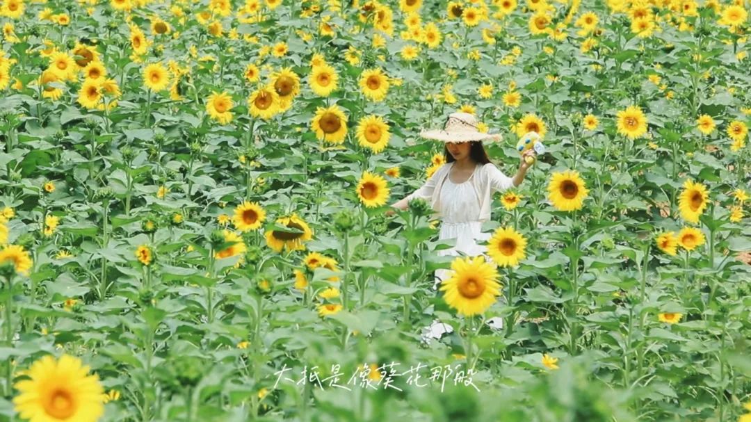 6月30日(3).jpg