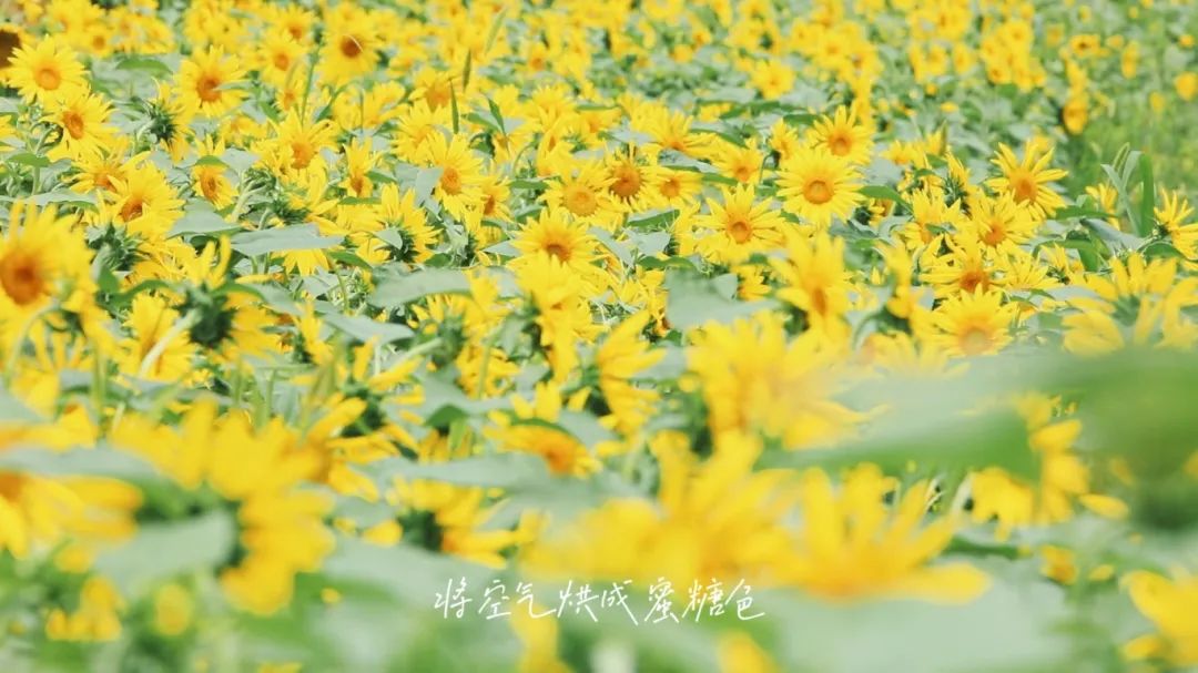 6月30日.jpg