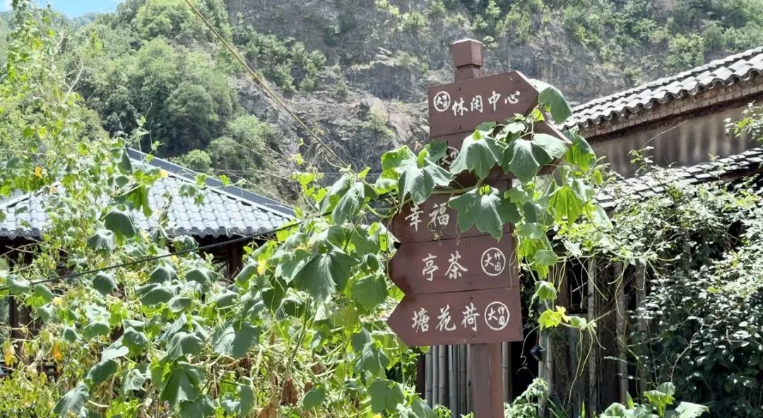 微信图片_2025-07-25_110647_353.jpg