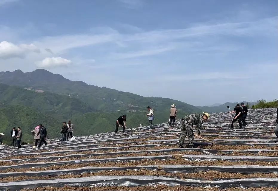 微信图片_2025-08-13_153713_358.jpg