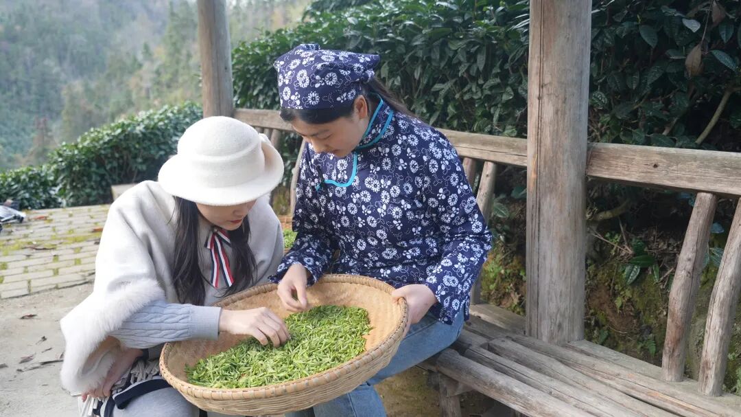 陕南春早茶香溢 茶旅融合引客来 (18).JPG