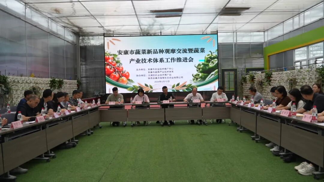 仲夏蔬果盈园，全市农技骨干齐聚汉滨“取经”