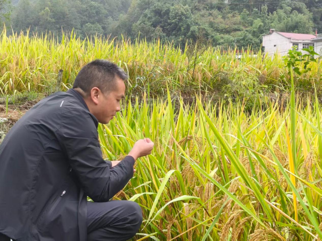 微信图片_20260928103935_374_15.png